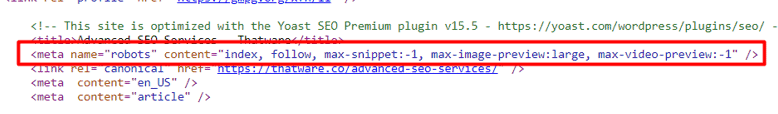 Page robots tag