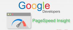 Google PSI