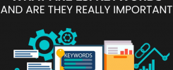 lsi keywords