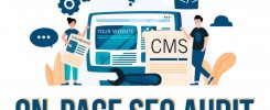 on page audit thatware