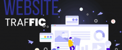 website traffic